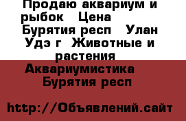 Продаю аквариум и рыбок › Цена ­ 2 000 - Бурятия респ., Улан-Удэ г. Животные и растения » Аквариумистика   . Бурятия респ.